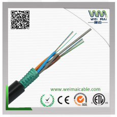 Fiber Optic Cable GYTS-24B1