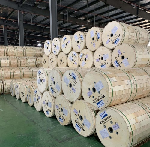 ASTELDIGITALS  Fiber Cable  GYXTW  GYXTC8Y