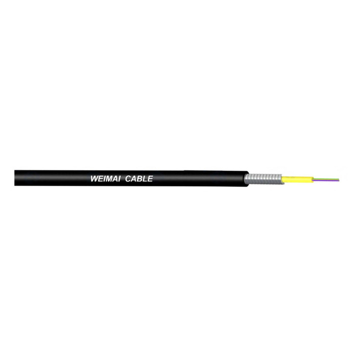 4 to 12 Fibers Armored Cable SM