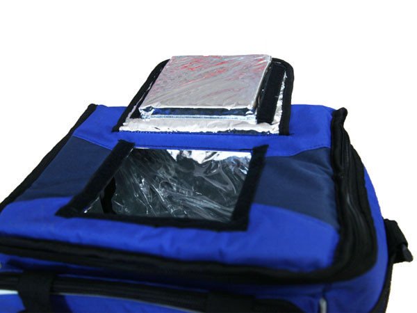 Factory Price Ice Cube Plastic Bag,Ice Cooler Bag,Ice Cream Cooler Bag