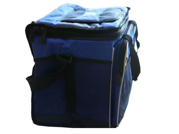 Factory Price Ice Cube Plastic Bag,Ice Cooler Bag,Ice Cream Cooler Bag