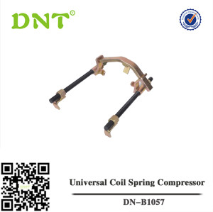 Universal Muelle Compresor