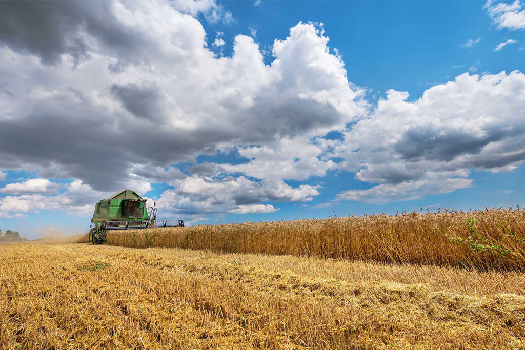tools application to agriculture and forestry