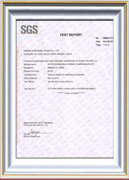 SGS of strut coil spring compressor