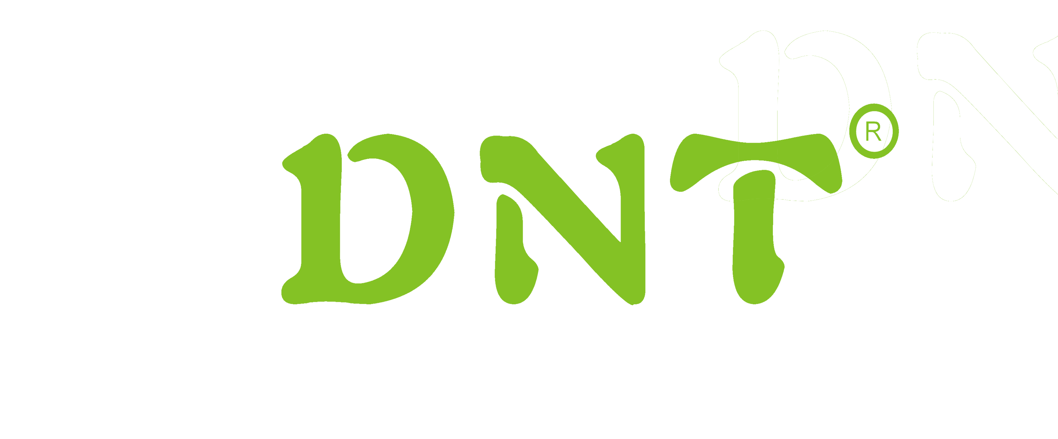 Dongning Инструменты (Нинбо) Co., Ltd