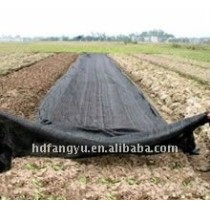 Shade Mesh for Agriculture
