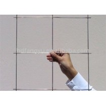 Stainless Steel Wire Mesh Welded Panel