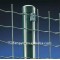Holand wire mesh