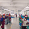 ForeverSeal Starts Work in 2026 with Lucky Red Envelopes and New Year Wishes
