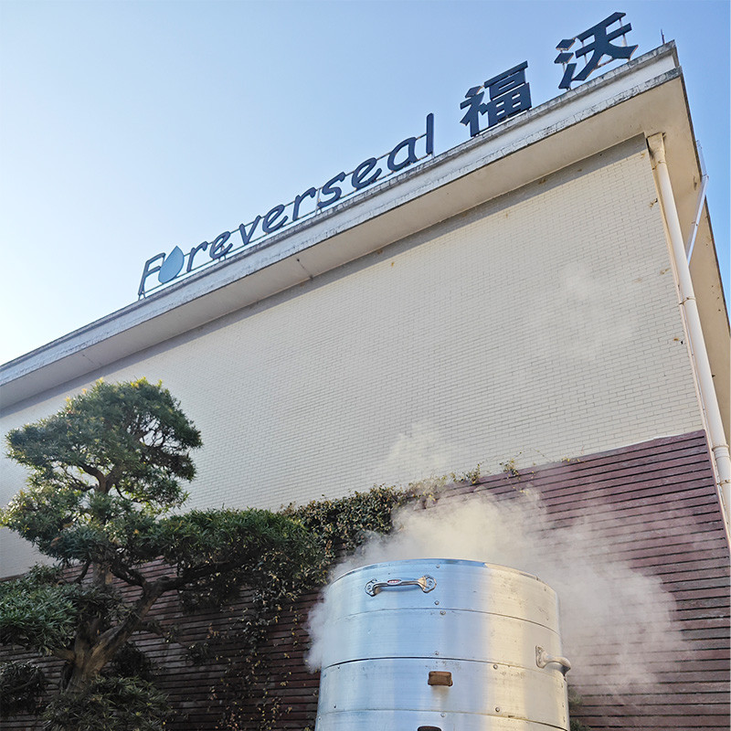 Celebrating Christmas 2024 with Our Team | Foreverseal