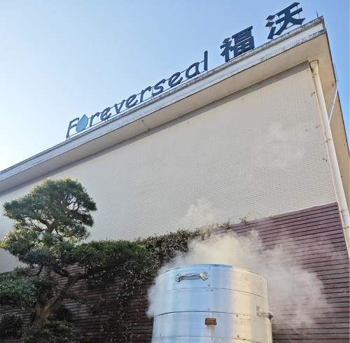 Celebrating Christmas 2024 with Our Team | Foreverseal