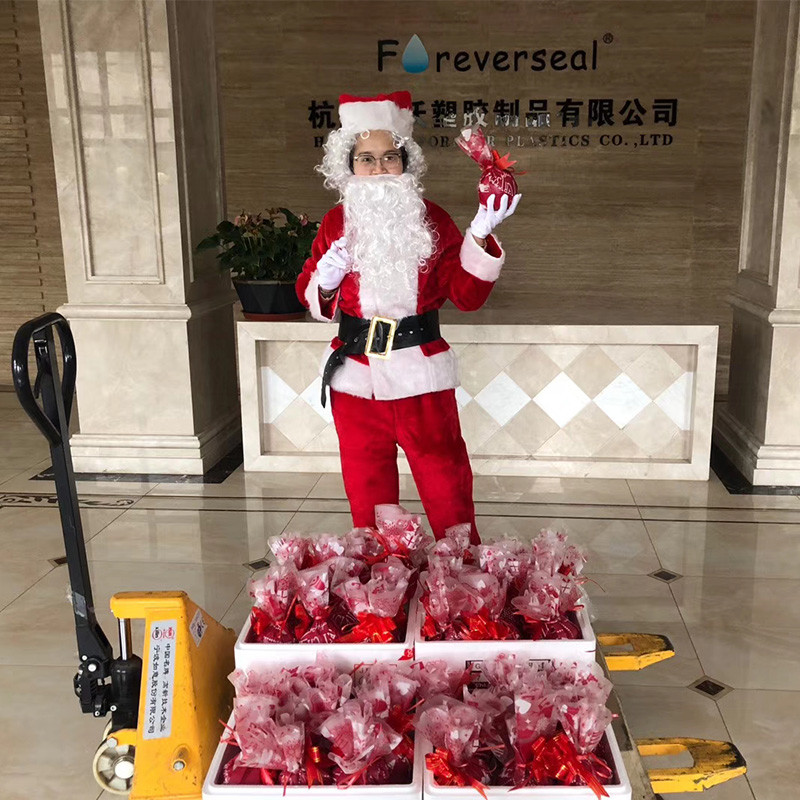 Christmas Cheer at Foreverseal: Santa Delivers Apples to Our Team