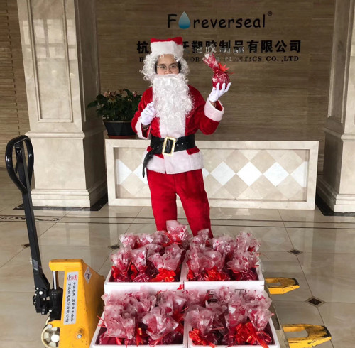 Christmas Cheer at Foreverseal: Santa Delivers Apples to Our Team
