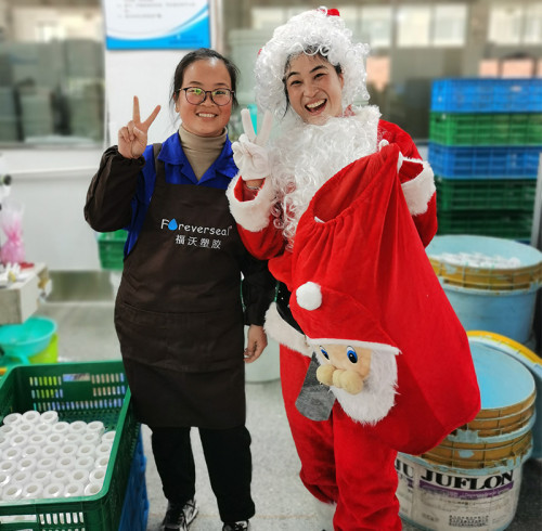 Christmas at Foreverseal: Sharing Peace and Good Wishes with Our Team