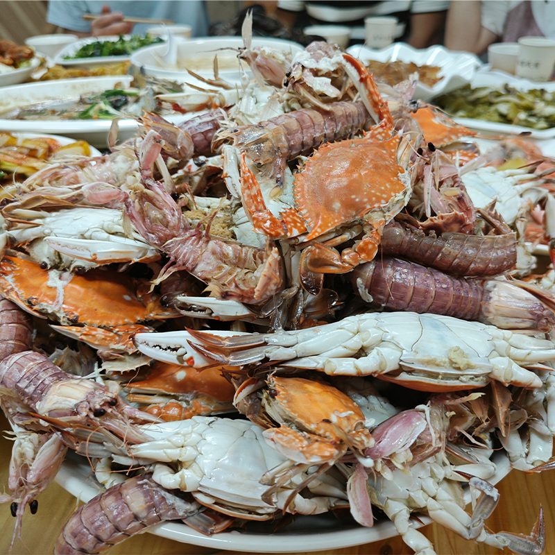 Foreverseal Team & Family Weekend Trip to Xiangshan, Ningbo