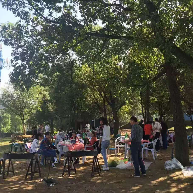 Foreverseal Team Barbecue: Building Connections Beyond Work