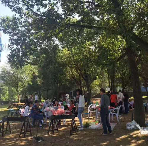 Foreverseal Team Barbecue: Building Connections Beyond Work