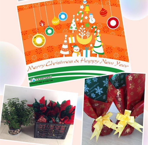 Merry Christmas and Happy New Year 2018 from Foreverseal