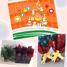 Merry Christmas and Happy New Year 2018 from Foreverseal