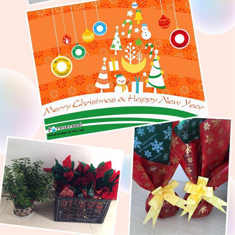 Merry Christmas and Happy New Year 2018 from Foreverseal