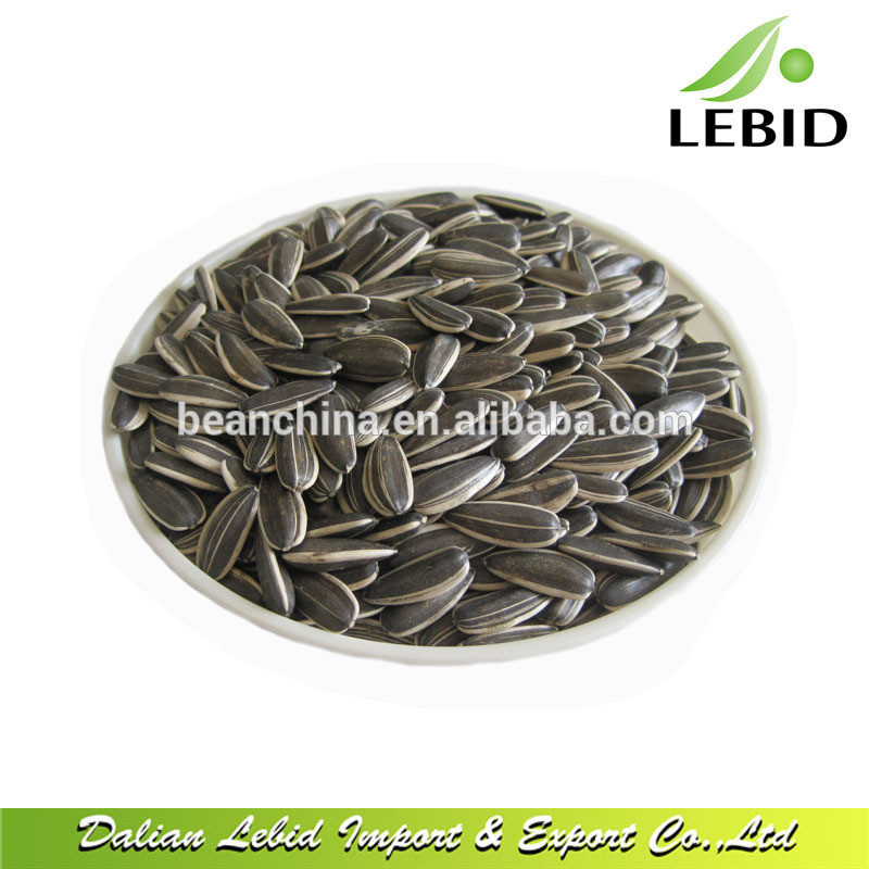 High Quality 5099 24/64 Sunflower Seeds for sale Buy sunflower seeds