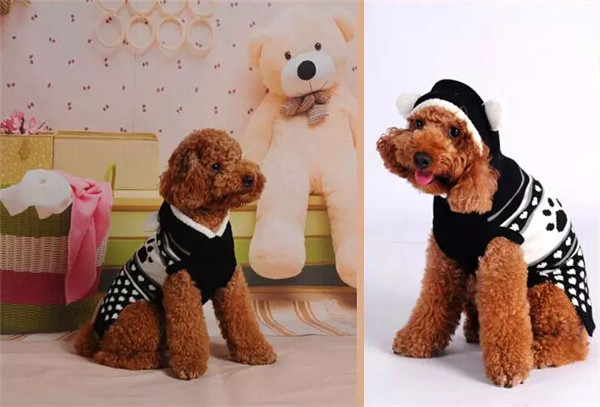 Low price guaranteed quality dog sweater with hood