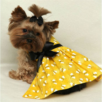 Yellow Bumblebee Dog Dress