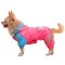 Four-legged dog pattern raincoat