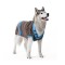 Promotional durable using dog knitted sweaters