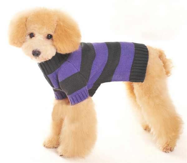 New arrival latest design dog sweaters xxl