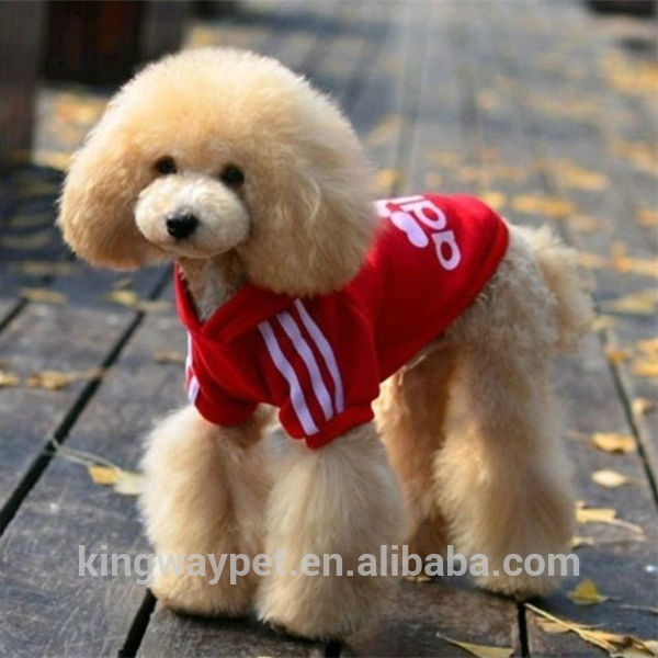 Wholesale sports branded spring pet clothes