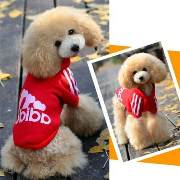 Wholesale sports branded spring pet clothes