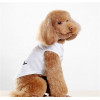 Wholesale cute small dog clothing