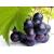 Grape Skin Extract