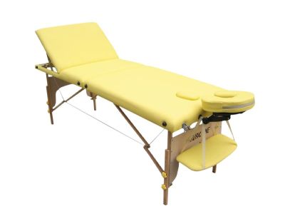 M016     Economic massage table