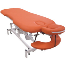 ET01    H-ROOT  Electric Treatment Table