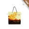 Newest product cheap price fashional design gift paper bag