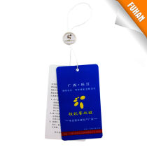 Clothing paper hang tag with customized plastic tag
