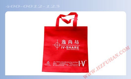 eco-friendly shopping bag for house wife