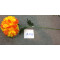 A-229/ A-233 Top Sale Hight Quality  Flower Home decoration Wholesale In Yiwu Market