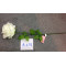 A-229/ A-233 Top Sale Hight Quality  Flower Home decoration Wholesale In Yiwu Market