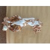 Wholesale ZS-357 Home Resin Hight Quality  Decoration  Hot  in Yiwu Market