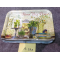 A-393  Top Sale Hight Quality Plastic Plate Wholesale In Yiwu Market