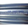 Hot Dipped Galvanized Pipe with mark and coupling
