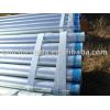 export bs1387 Galvanized Steel Pipe with good quality