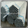 Supply Galvanized Pipe for Fluid Transporting (48.3*2.75mm)