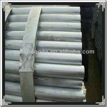 275 Hot Dipped Galvanized Steel Pipe (3