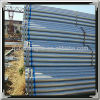 Hot Dipped Galvanized Steel Pipe (3 1/2