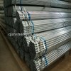 Galvanized Fence Pipes 1 1/4