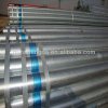 Galvanized Fence Pipes 2